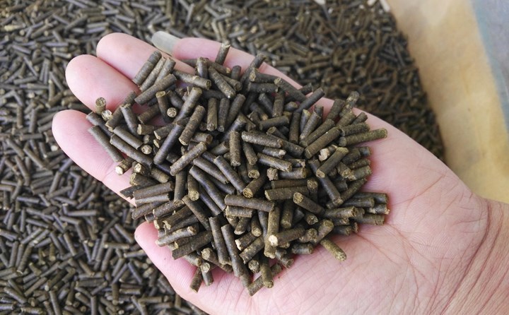 秸稈制粒機生產(chǎn)的生物質顆粒燃料