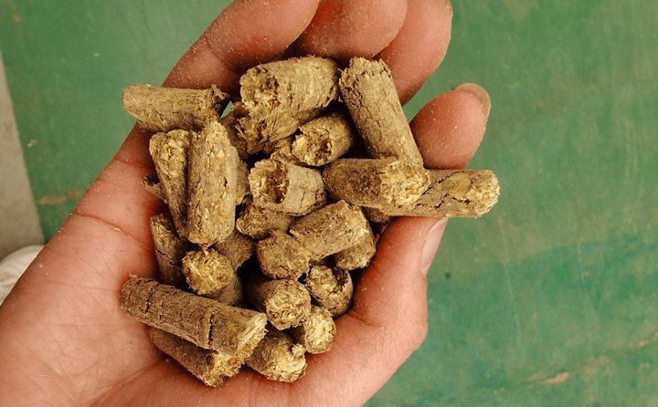 秸稈飼料顆粒機(jī)提高秸稈利用率，飼料顆粒機(jī)是以玉米、豆粕、秸稈、草、稻殼等為原料，通過(guò)粉碎原料后直接壓制成顆粒的飼料加工機(jī)械。