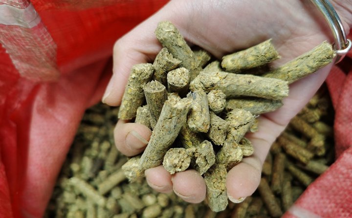 秸稈顆粒機(jī)就是將粉碎后的秸稈制成顆粒飼料，用于飼喂牛羊