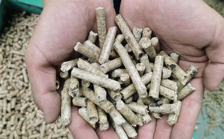 秸稈顆粒機械設(shè)備加工的秸稈顆粒