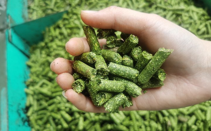 牧草秸稈顆粒
