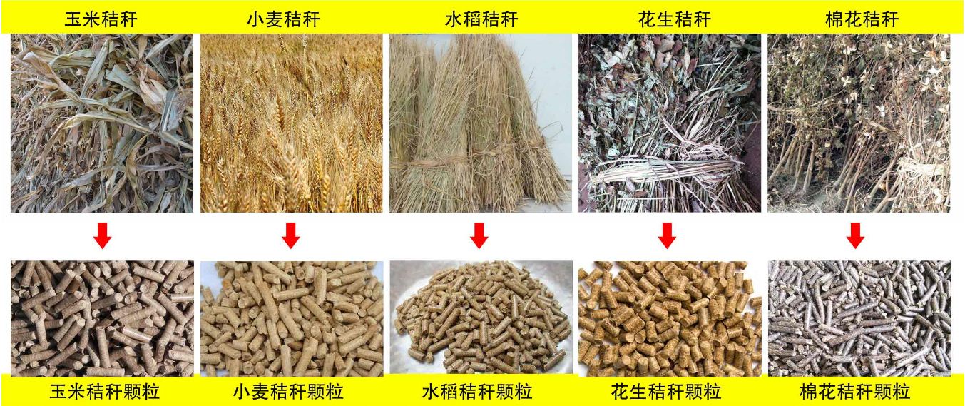 玉米秸稈、小麥秸稈等原材料