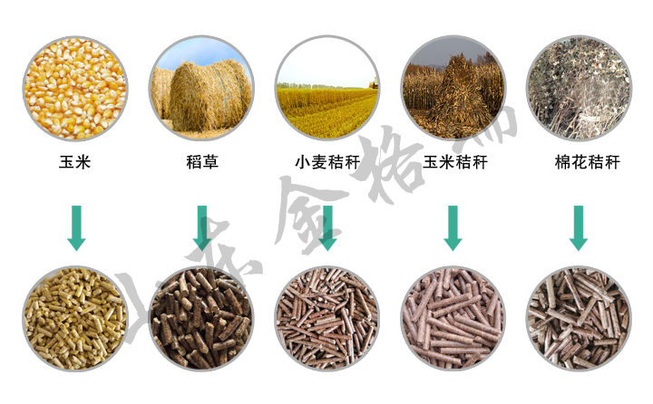 玉米秸稈顆粒機原材料